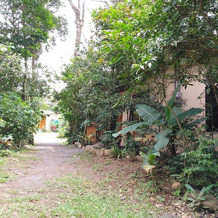Casitas Del Bosque Monteverde. Kamer foto