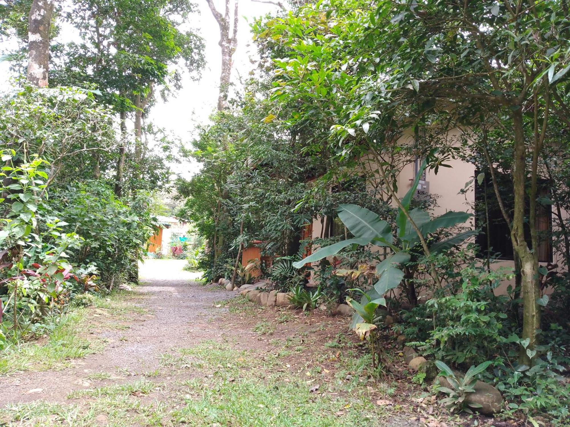 Casitas Del Bosque Monteverde. Kamer foto